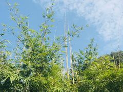 -黄公望隐居地