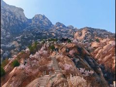 -北京凤凰岭