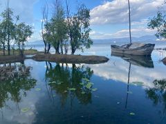 -洱海月湿地公园