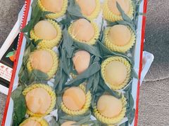 -西郊国际农产品交易中心