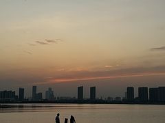 -瑶湖郊野森林公园