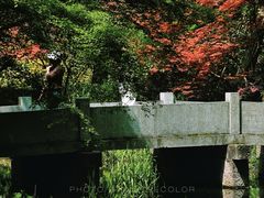 -茅家埠