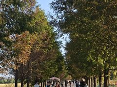 -嘉北郊野公园