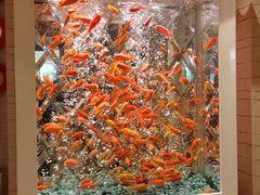 -永利澳门酒店