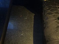 -东方之珠KTV娱乐超市(河北店)