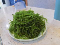 海菜（海发菜）-琼鲜记海南糟粕醋火锅