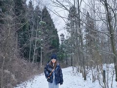 -武陵山森林公园