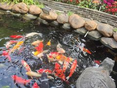 -味可道·黄圃人家园林酒家(兆丰店)