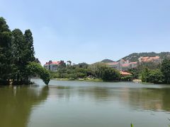 -厦门大学(思明校区)