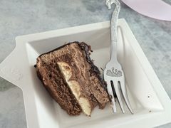 -BLACKSWAN黑天鹅(新希望店)