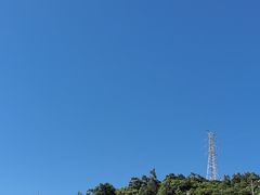 -枸杞岛