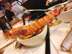 -鲜入围煮花胶鸡海鲜火锅