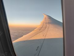 -全日本空输株式会社(上海办事处)