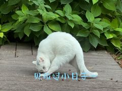 -北京市劳动人民文化宫(太庙)