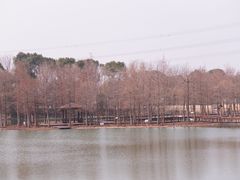 -梁鸿国家湿地公园