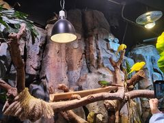 -正佳雨林生态植物园