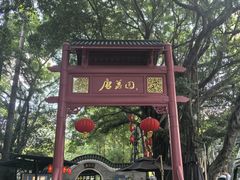 -侨美·唐荔园·40年地道粤菜