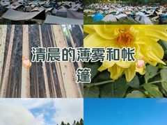 -武陵山森林公园