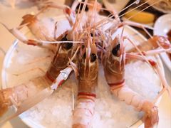 -斯普汇生蚝牛排馆(中骏世界城店)