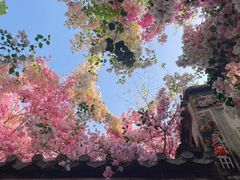 -深圳国际园林花卉博览园