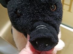 -小乌猪·金华筒骨煲(永盛购物广场店)