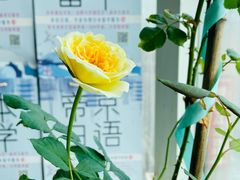 -帝京日语(春熙路旗舰校区)