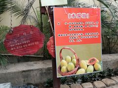 -仁爱团泊湖温泉中心