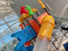 -广西体育中心-游泳馆