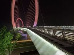 景点-南京眼步行桥