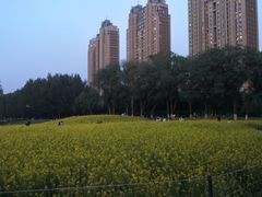 -长白岛森林公园