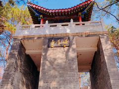 -青龙山国家森林公园