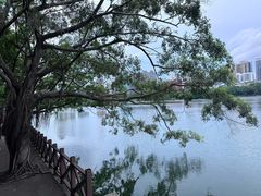 -南宁南湖公园
