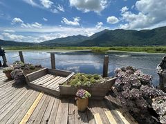 -腾冲北海湿地