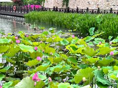 -茅山东方盐湖城景区