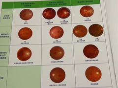 -宝岛眼镜(常熟珠江路欧尚店)