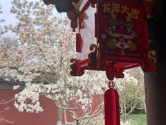 -钱王祠