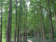 -黄兴公园