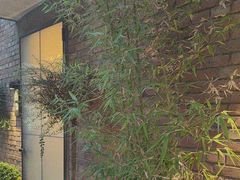 -羊门客在·烤盐池滩羊·川菜