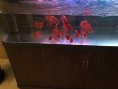 -唐晋人家(源深路店)