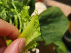 -呷哺呷哺(望京新世界店)