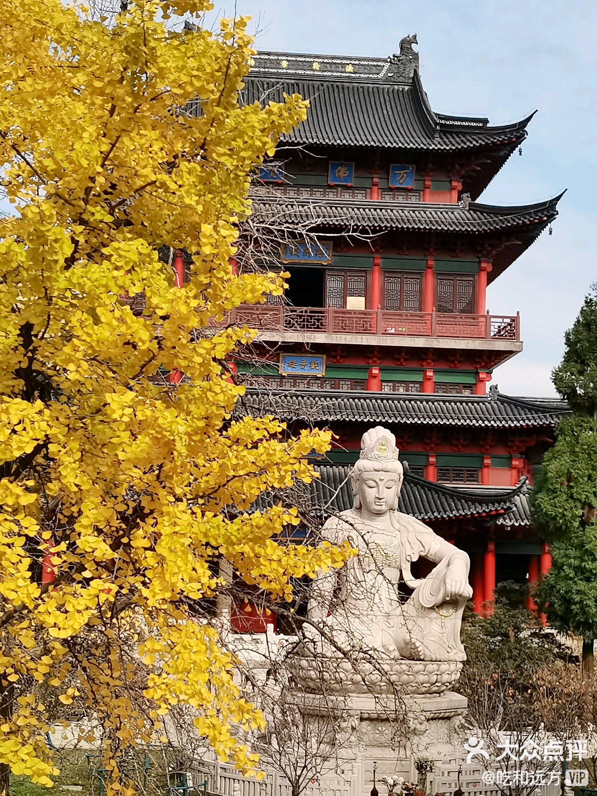 南京梅花谷门票图片