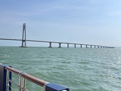 -招商蛇口邮轮母港(观光客运)