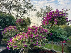 -广州莲花山旅游区