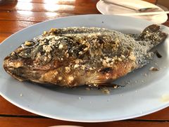 香茅烤鱼-Ruam Saep Yok Khok Som Tam