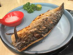 烤青花鱼-沼津港精致料理·寿喜烧·烧鸟(漕河泾印象城店)