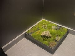 -华夏良子·足道·SPA·艾灸(金皇大厦店)