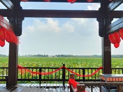 -天津东丽湖风景区