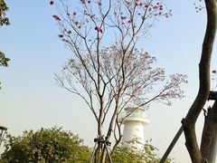 -深圳湾公园(南山区)