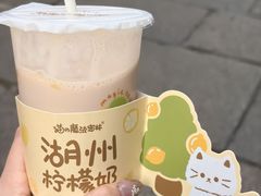 -猫的魔法密林(衣裳街店)