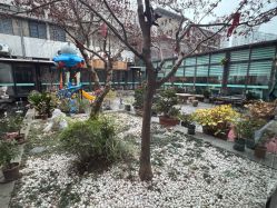 -保丽宝泰母婴护理院·月子中心·产康·中医(常州店)